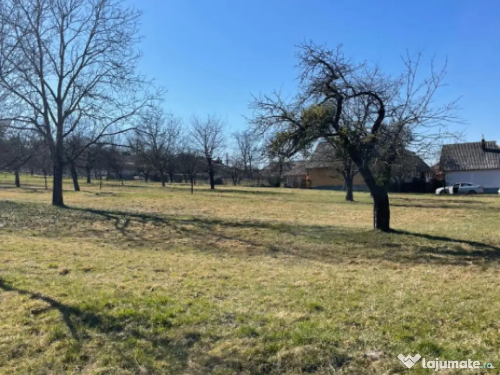 Teren 50 ari în Satu Nou de Sus – utilități la teren, p 