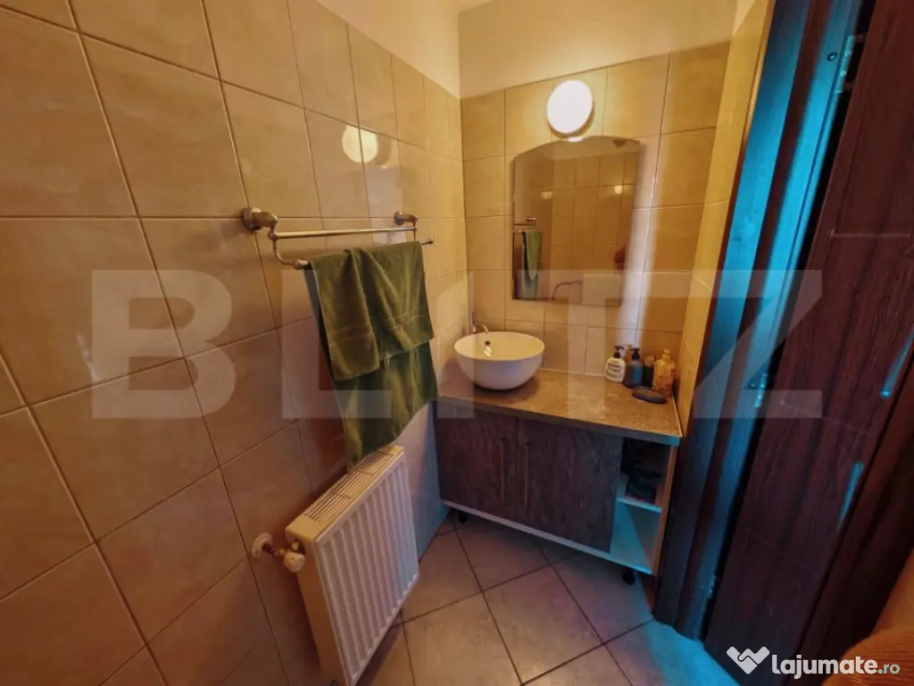 Apartament pe două niveluri, 3 camere, pet-friendly - Sânp 