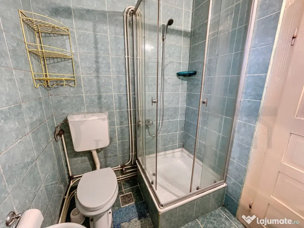 Casa cu 1 camera de inchiriat in Someseni 