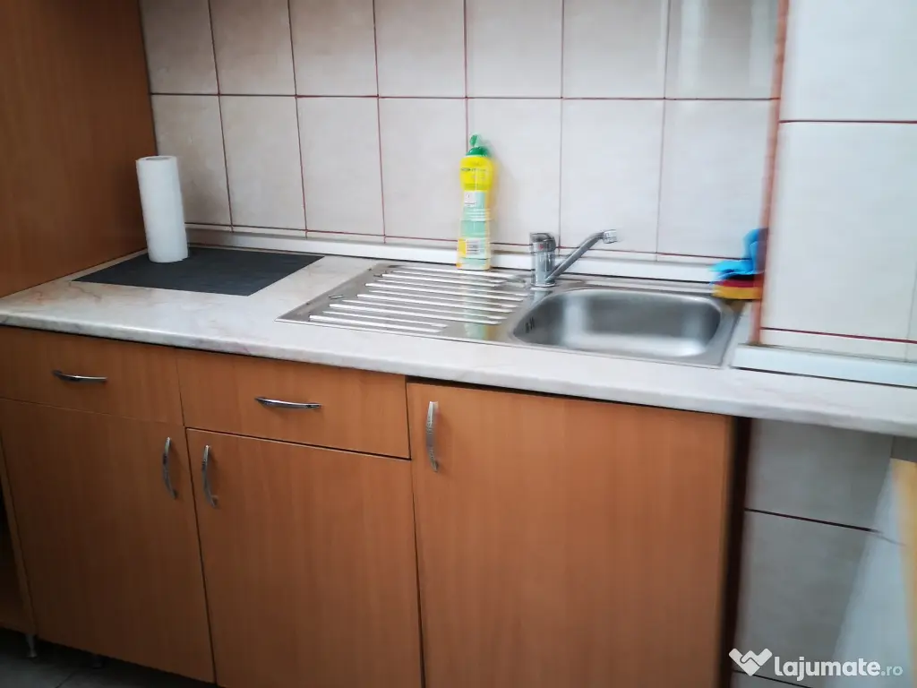 Dau in chirie garsoniera strada C. Brancusi, zona Diana 