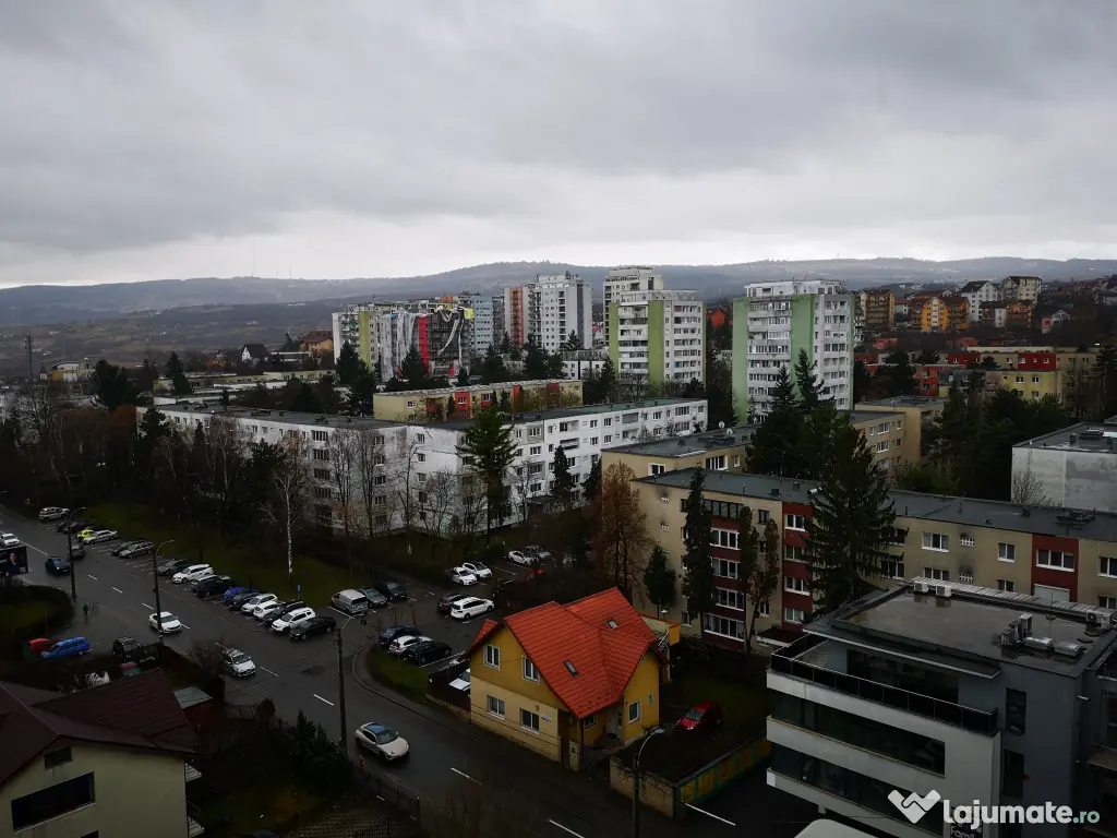 Dau in chirie garsoniera strada C. Brancusi, zona Diana 