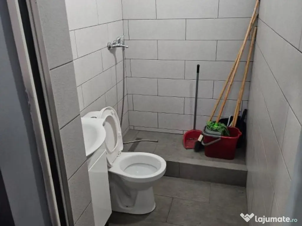 Hala lux detailing auto 595 mp Domnesti 