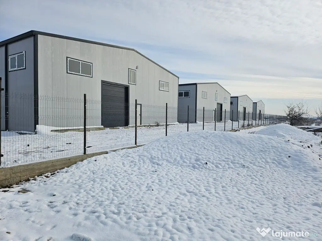 Hale noi 2026 AFUMATI ( Moara Domneasca ) 2300 Euro 