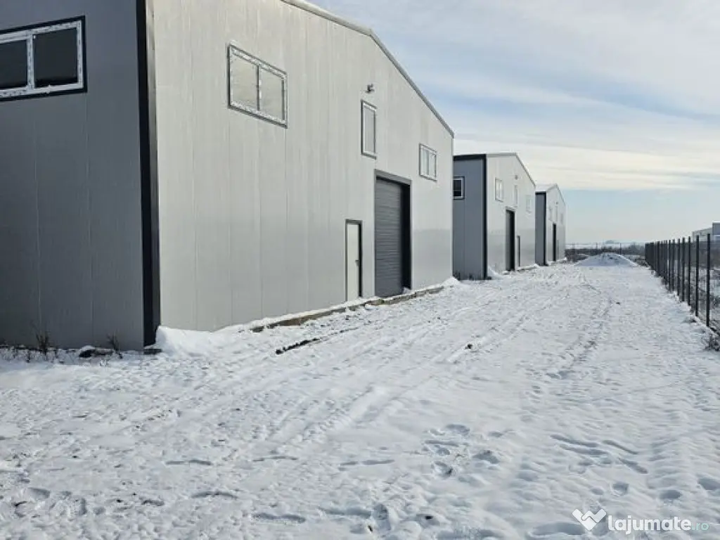 Hale noi 2026 AFUMATI ( Moara Domneasca ) 2300 Euro 