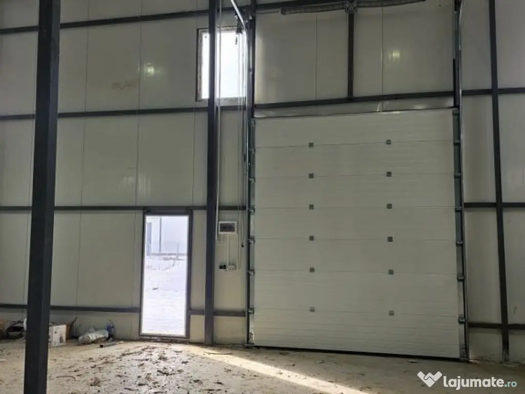 Hale noi 2026 AFUMATI ( Moara Domneasca ) 2300 Euro 