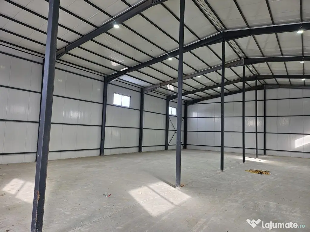Hale noi 2026 AFUMATI ( Moara Domneasca ) 2300 Euro 