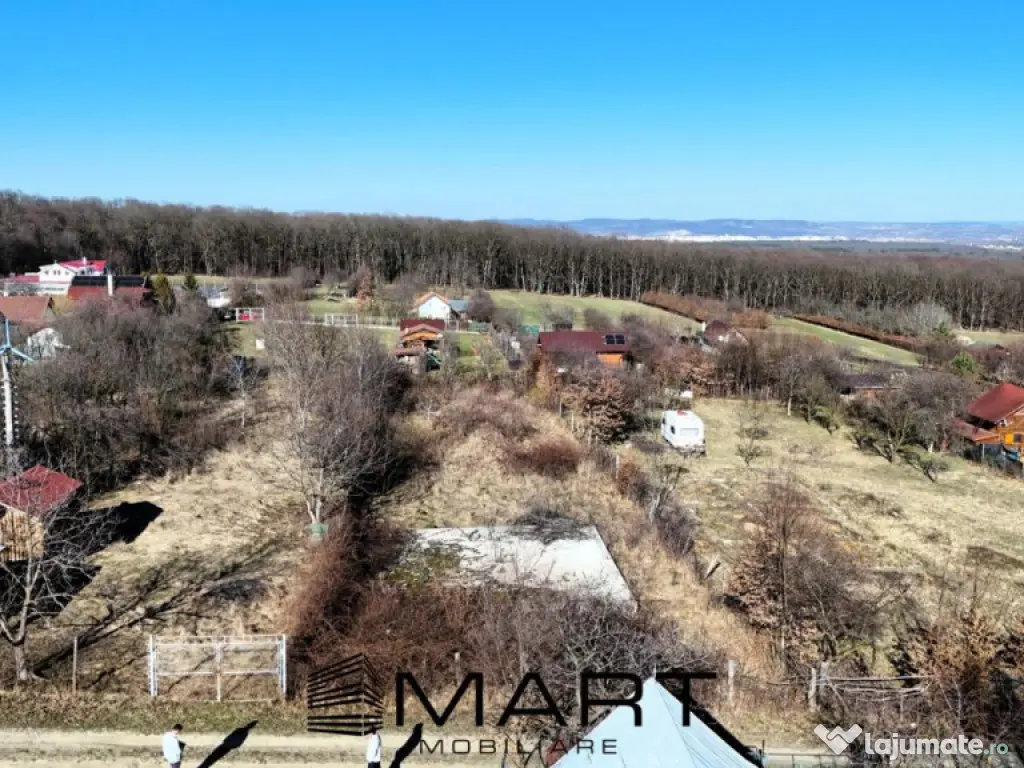 Teren intravilan 1100mp Tropinii Noi 