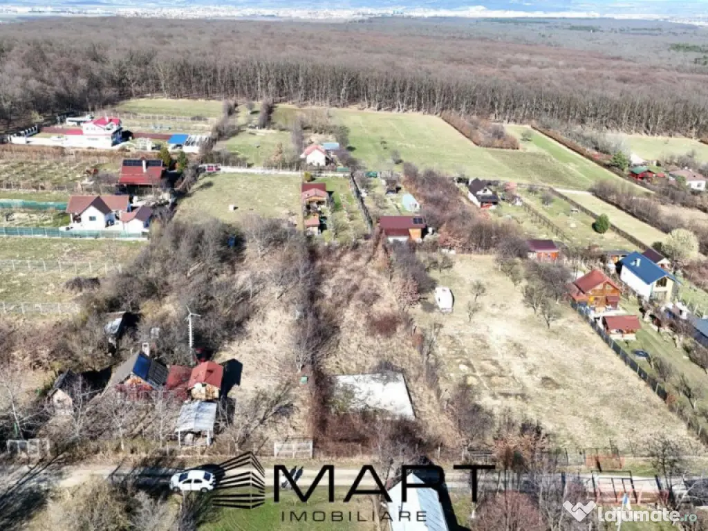Teren intravilan 1100mp Tropinii Noi 