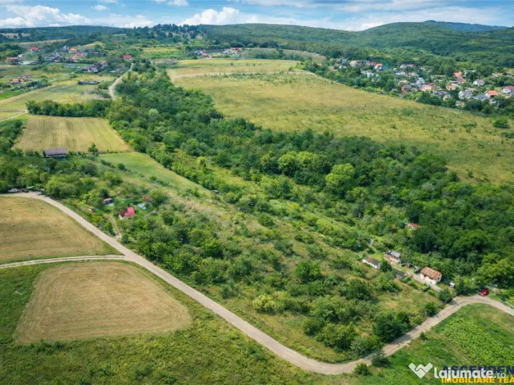 FILM! Confortabila ariere, 4.500 mp, arbori roditori, Sancra