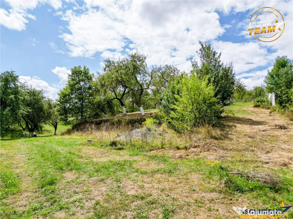 FILM! Confortabila ariere, 4.500 mp, arbori roditori, Sancra 