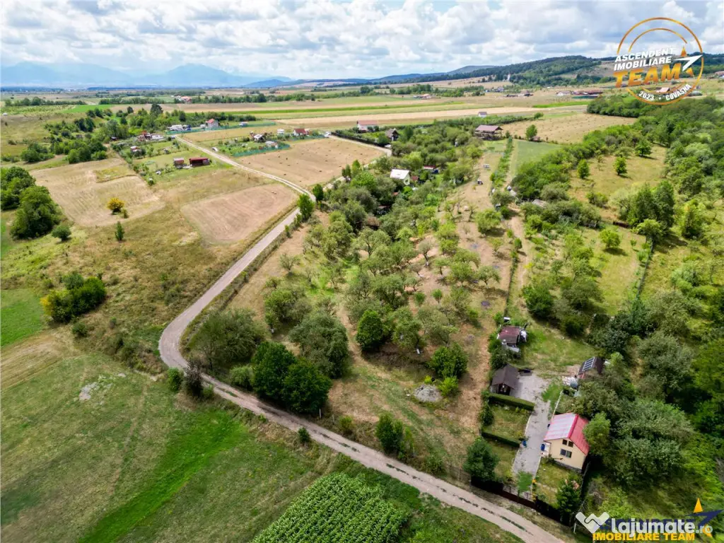 FILM! Confortabila ariere, 4.500 mp, arbori roditori, Sancra 