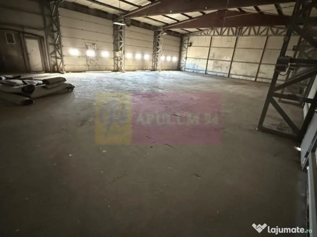Hala Soseaua Bucuresti- Magurele- planul 2. 