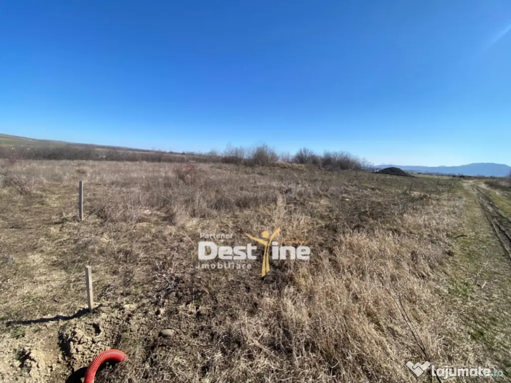 Loturi de Teren Fermelor Strada Plantelor 