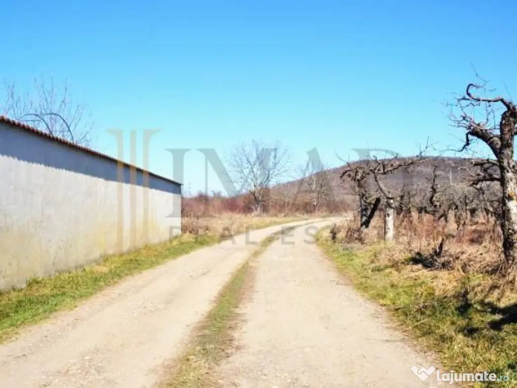 Via Solarino, 3 km de oras! Teren Intravilan 1000 mp in Vif 