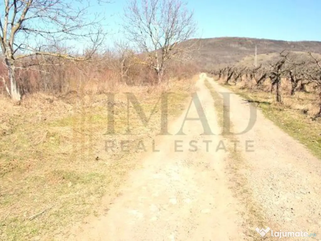 Via Solarino, 3 km de oras! Teren Intravilan 1000 mp in Vif 