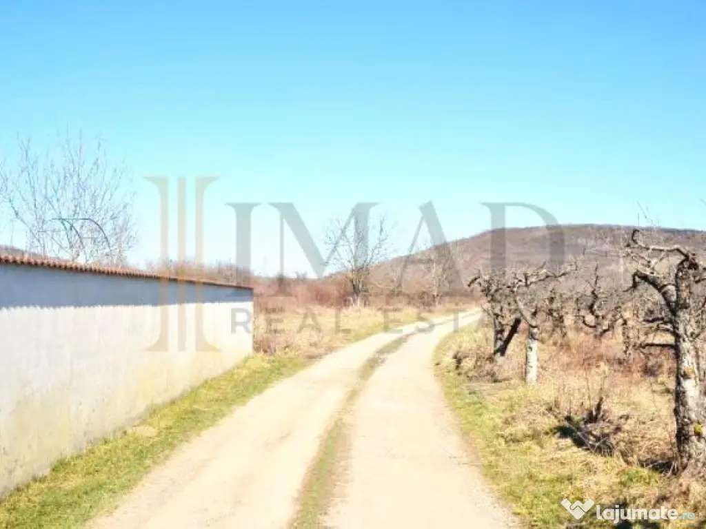 Via Solarino, 3 km de oras! Teren Intravilan 1000 mp in Vif 