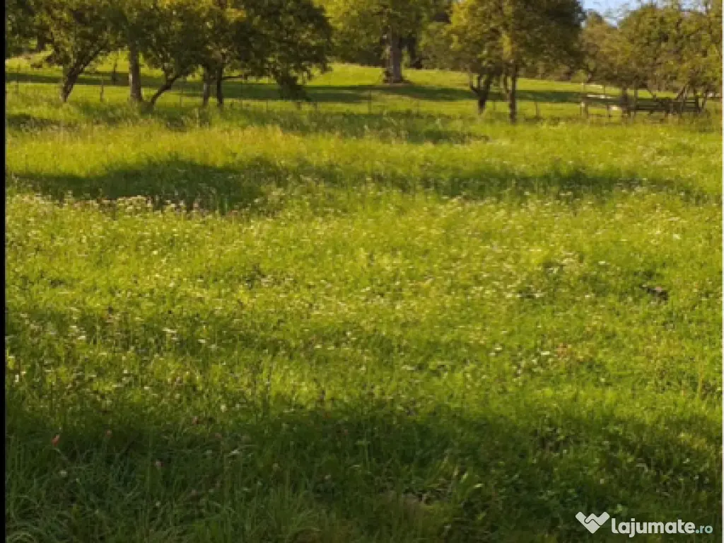 Teren Moieciu de Jos 2100mp 