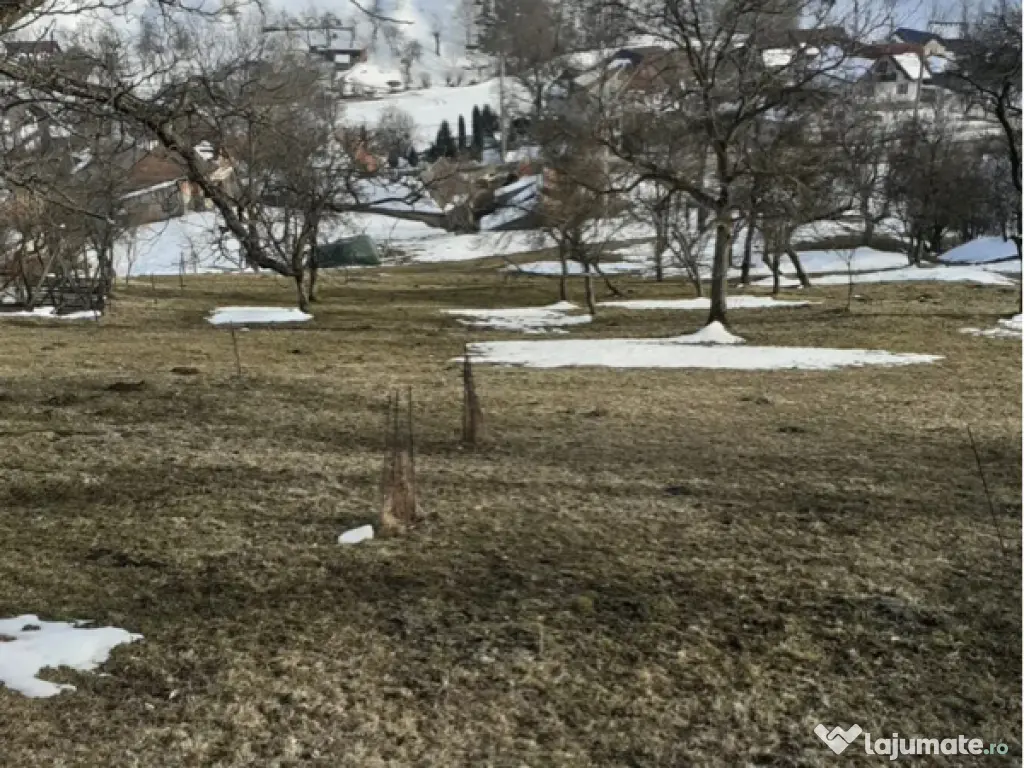 Teren Moieciu de Jos 2100mp 
