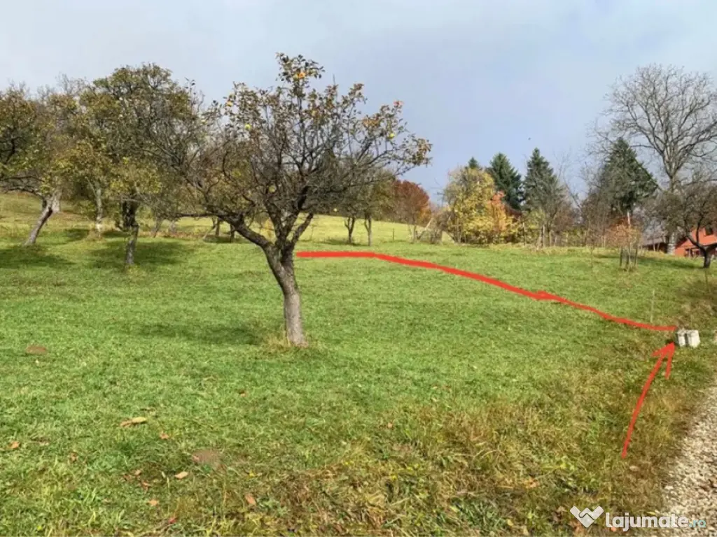 Teren Moieciu de Jos 2100mp 