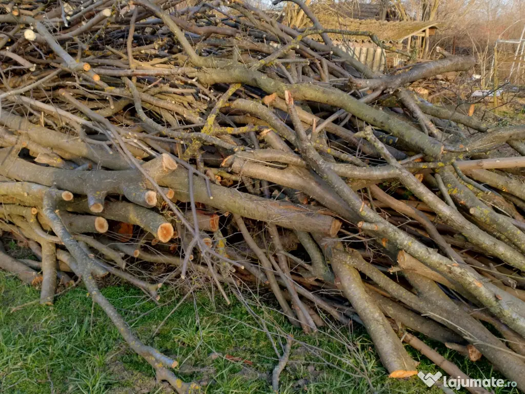 Lemne de foc, araci, prajini, popi gard si diferite materiale de constructii