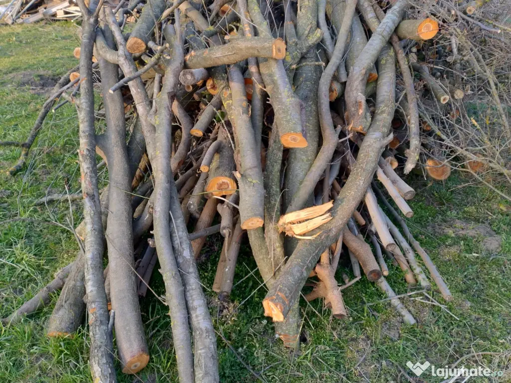 Lemne de foc, araci, prajini, popi gard si diferite materiale de constructii