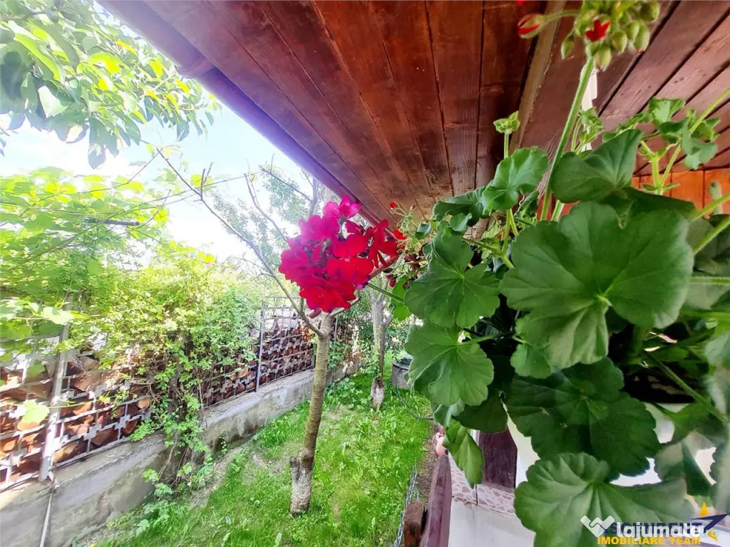 Rezidenta mobilata si echipata, cu lumina naturala, verdeata 