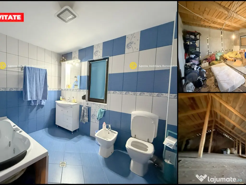 Vilă Spațioasă (P+1E+M) în Sat Costi – Zona Floricultură | Teren 1.200 mp 