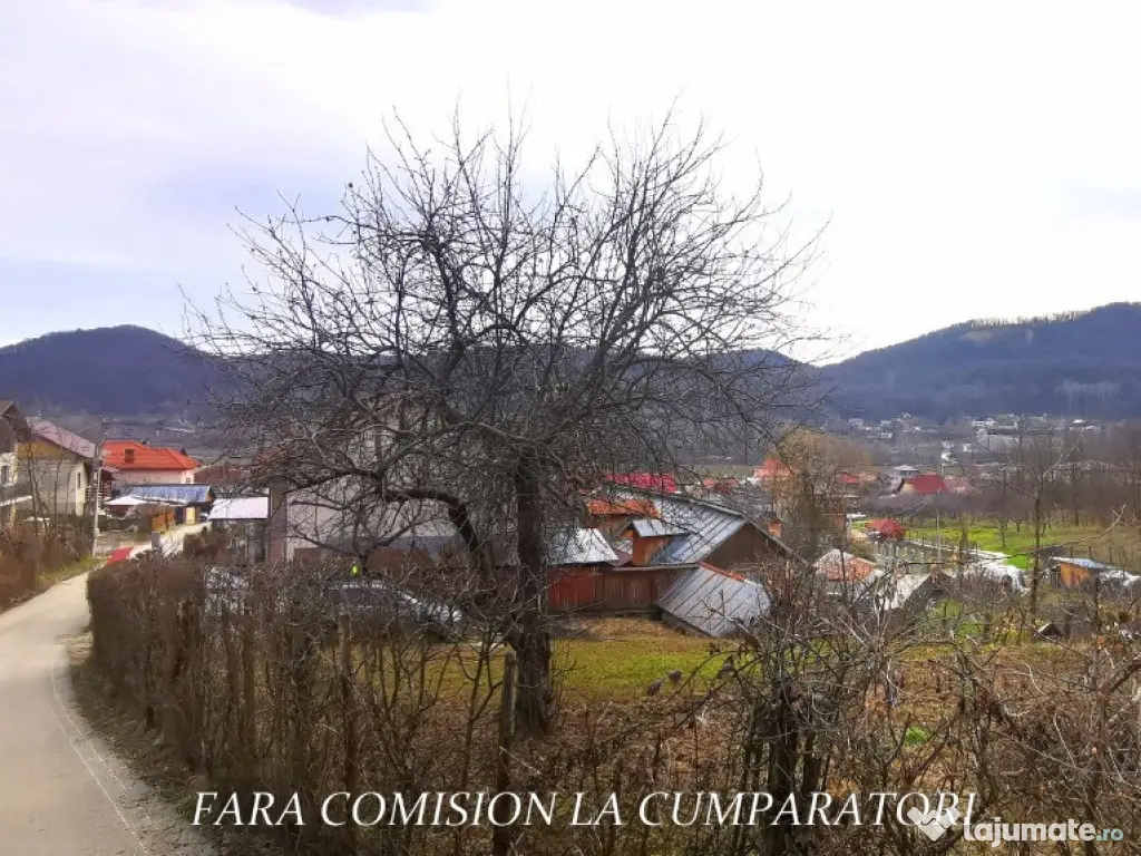 VLADESTI - LOT TEREN BINE AMPLASAT 