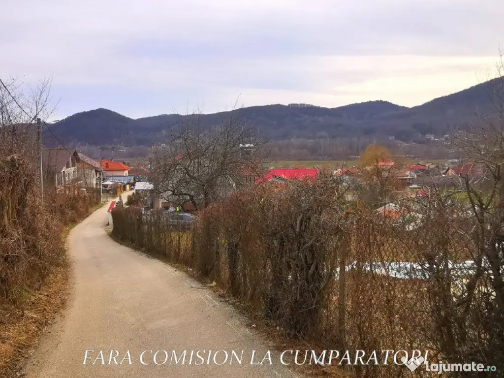 VLADESTI - LOT TEREN BINE AMPLASAT 