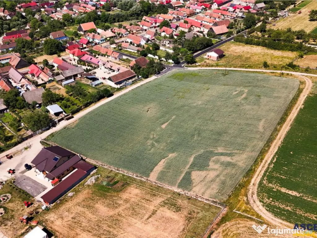 FILM! 1.100 mp teren intravlan in Maierus, Brasov 