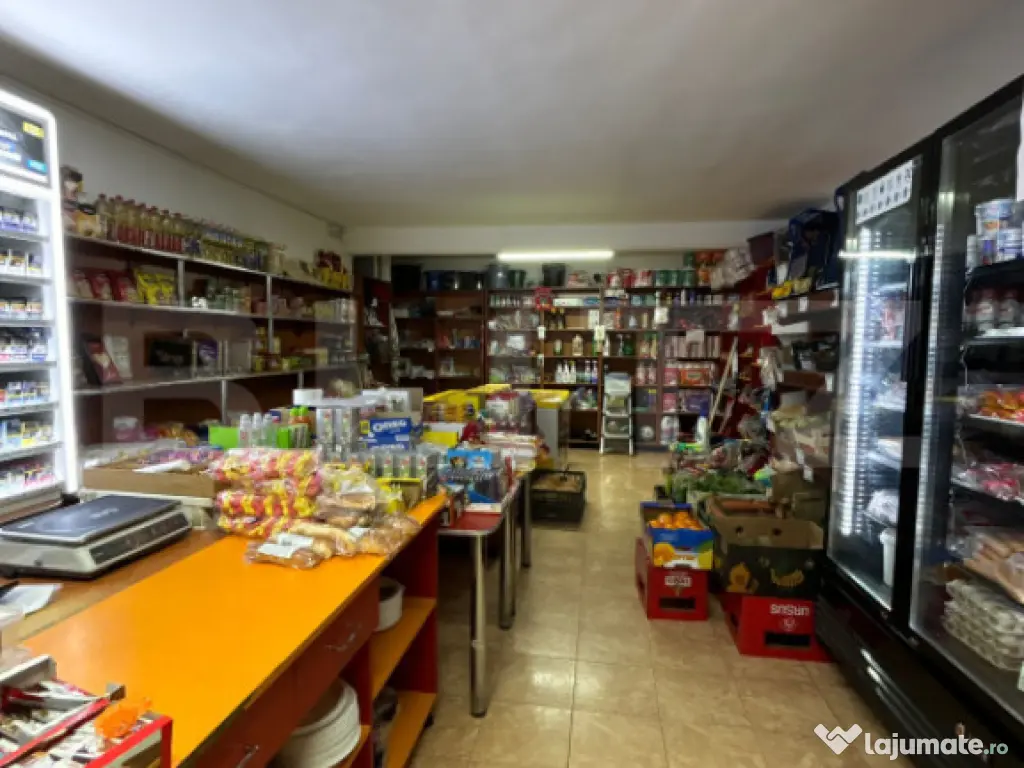 CLADIRE MIXTA DE VANZARE IN COMUNA DUMITRA, OPORTUNITATE DE