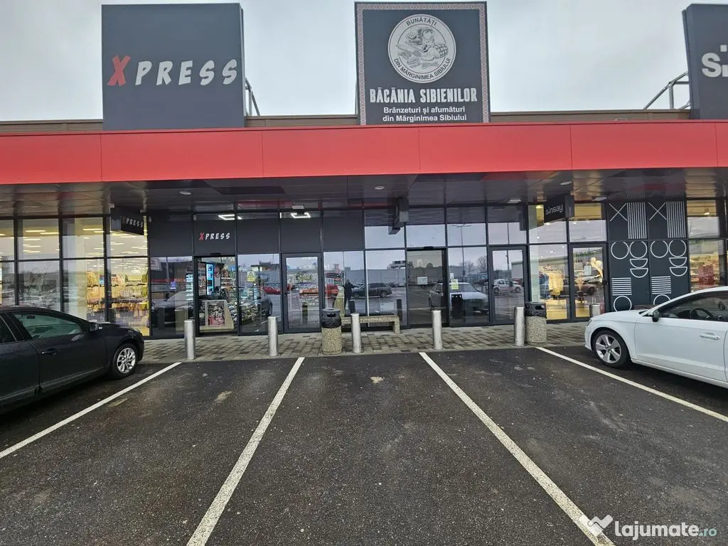 Spațiu comercial Kaufland – Shopping Park, Bd. Nicolae... 