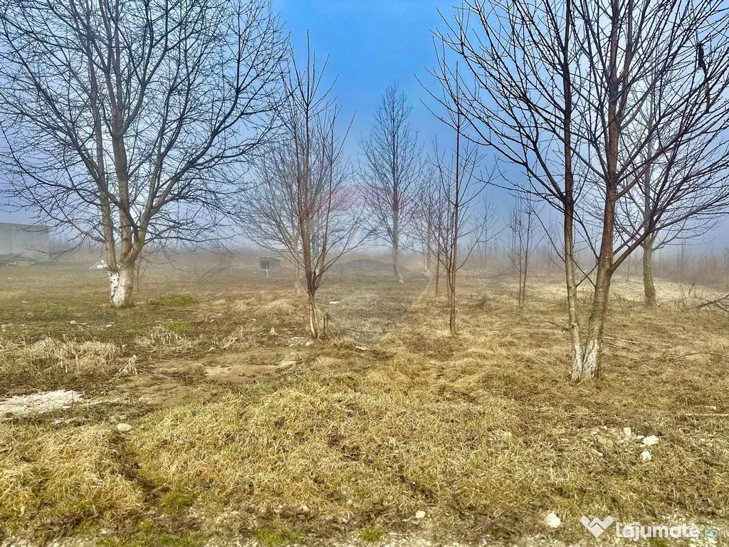 Teren 500mp Turturesti / Strada Principala 