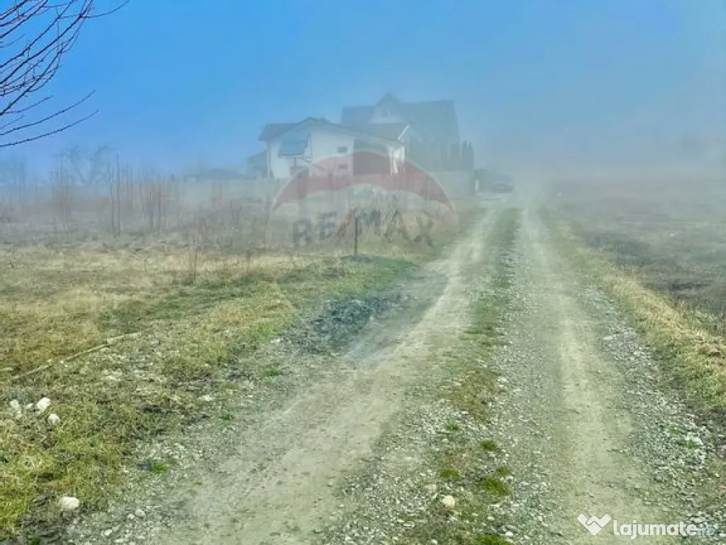 Teren 500mp Turturesti / Strada Principala 