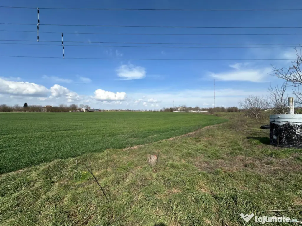 Teren, 18.000 mp, DN -Stația Meteo spre Valu lu Traian 