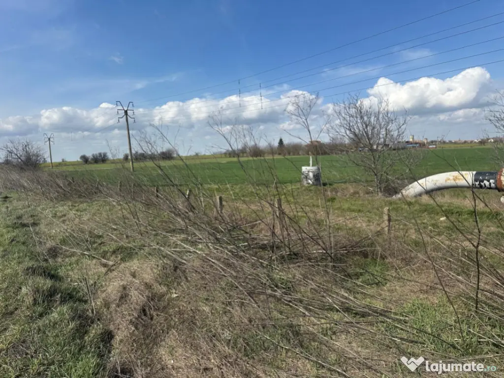 Teren, 18.000 mp, DN -Stația Meteo spre Valu lu Traian 