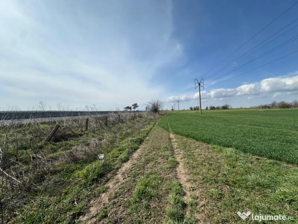 Teren, 18.000 mp, DN -Stația Meteo spre Valu lu Traian 