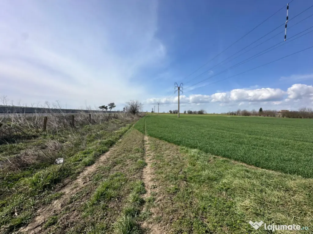 Teren, 18.000 mp, DN -Stația Meteo spre Valu lu Traian 