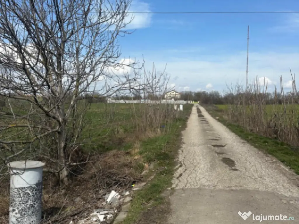 Teren, 18.000 mp, DN -Stația Meteo spre Valu lu Traian 