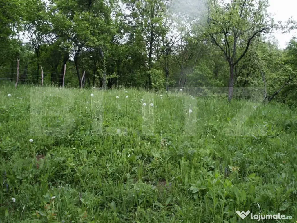 Teren de vânzare, 884 mp, zona Runcu