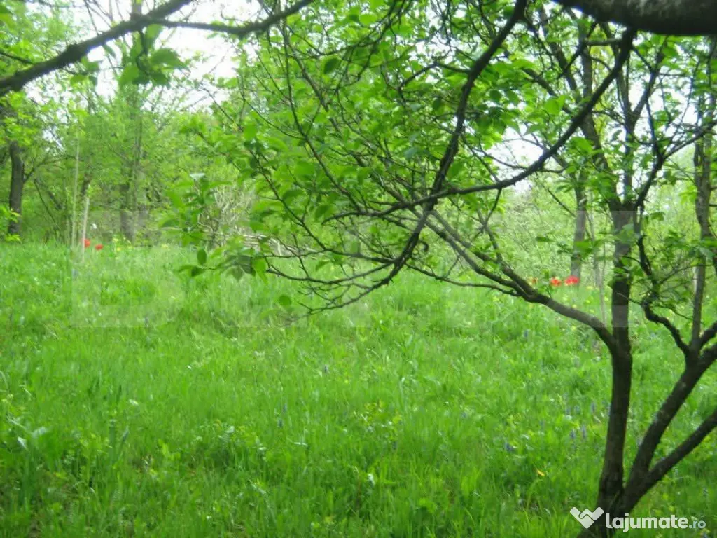 Teren de vânzare, 884 mp, zona Runcu