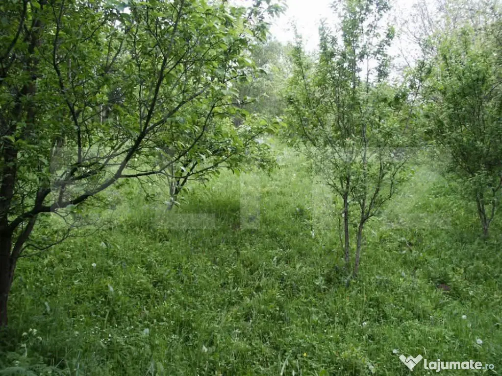 Teren de vânzare, 884 mp, zona Runcu