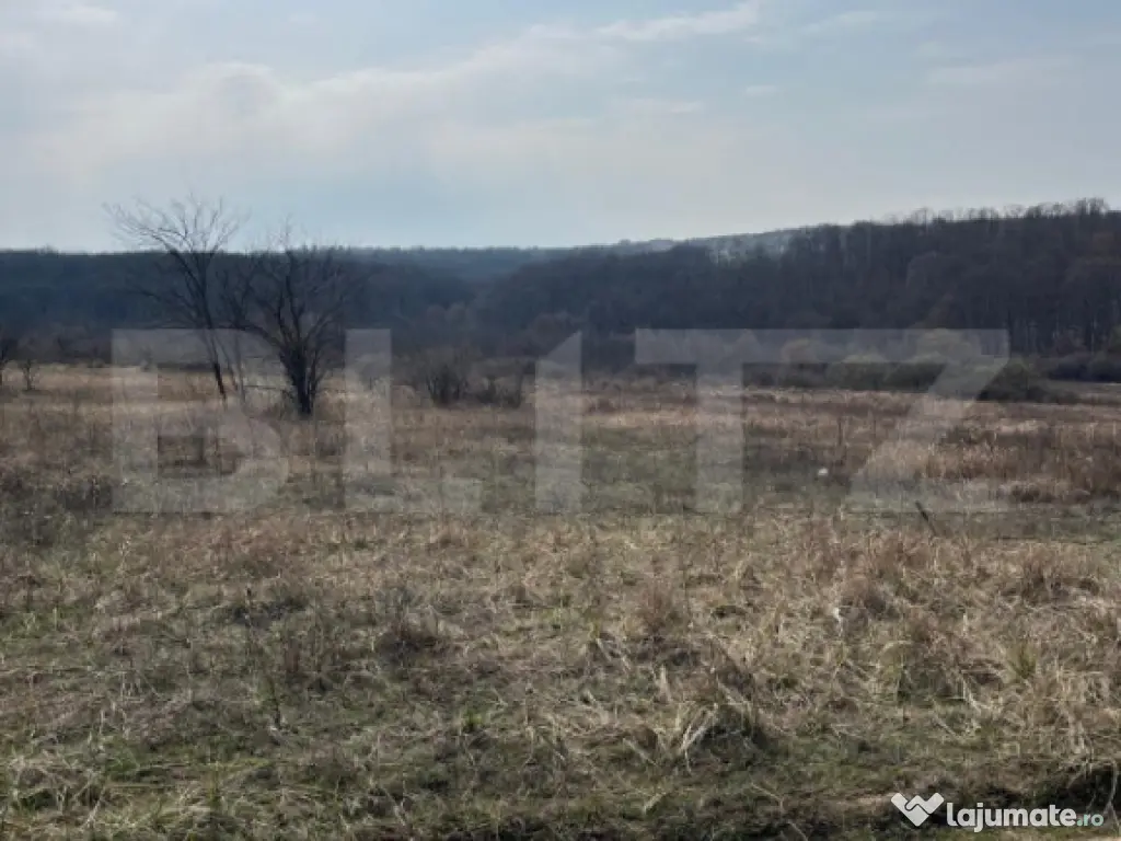 Teren intravilan de vanzare, 9783 mp, Paleu zona Iacului