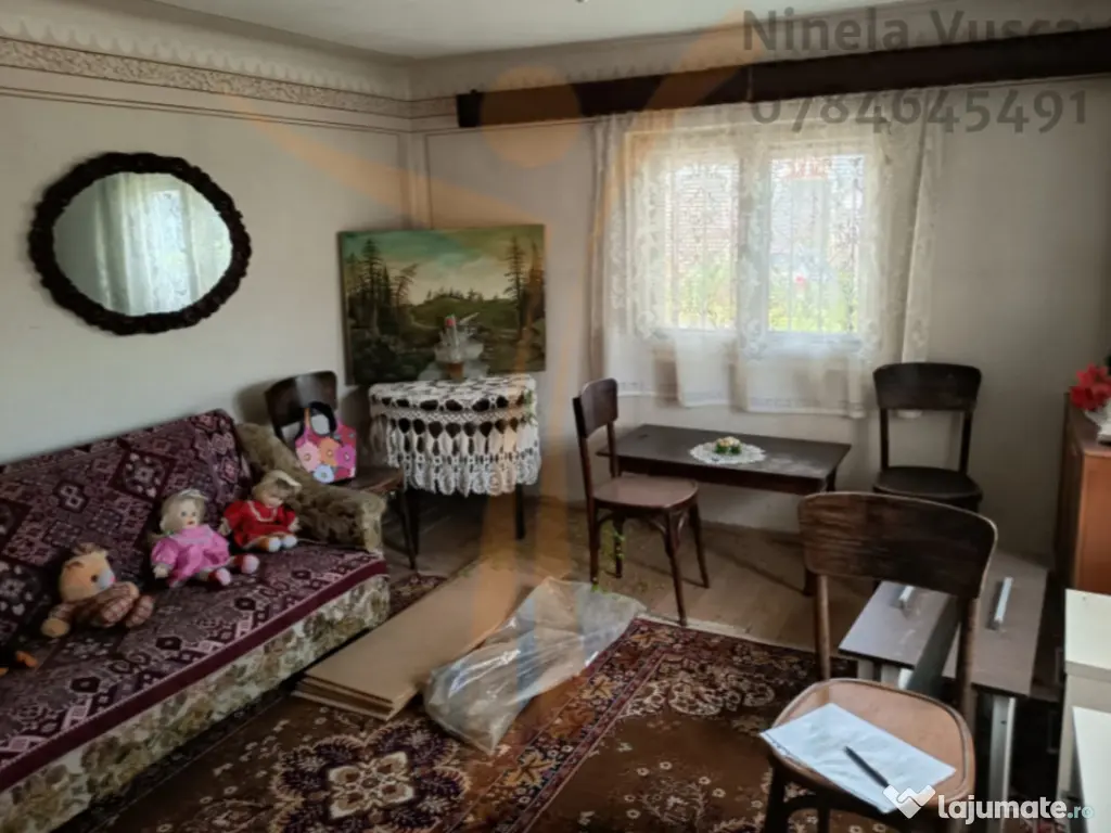 CASA PITOREASCA DE VANZARE BRANESTI - DAMBOVITA 