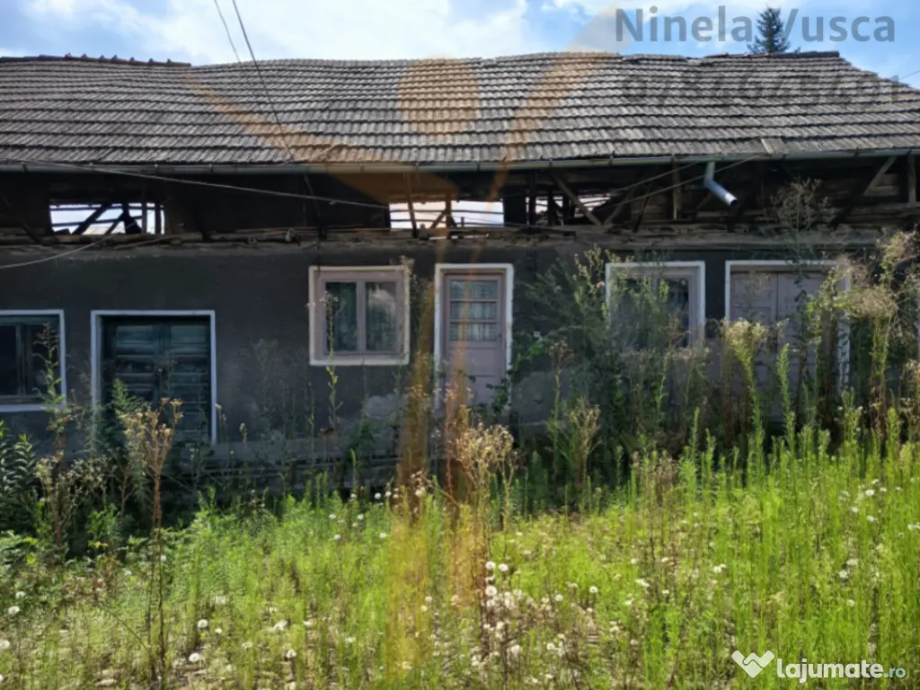 CASA PITOREASCA DE VANZARE BRANESTI - DAMBOVITA 