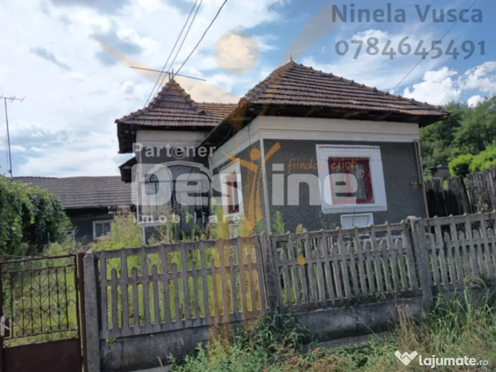 CASA PITOREASCA DE VANZARE BRANESTI - DAMBOVITA