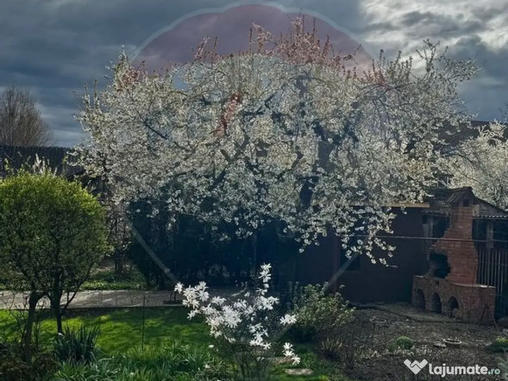 Casă / Vilă cu 8 camere de vânzare în zona Central 