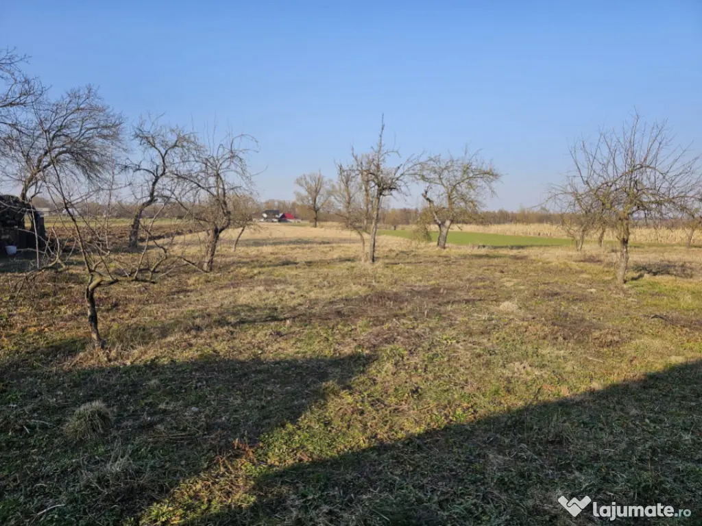 Casa batraneasca, teren 5400 mp, Fratautii Vechi