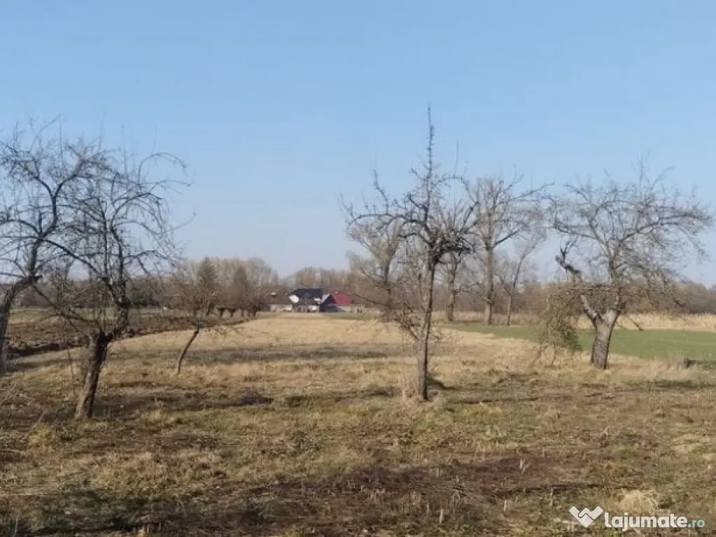 Casa batraneasca, teren 5400 mp, Fratautii Vechi