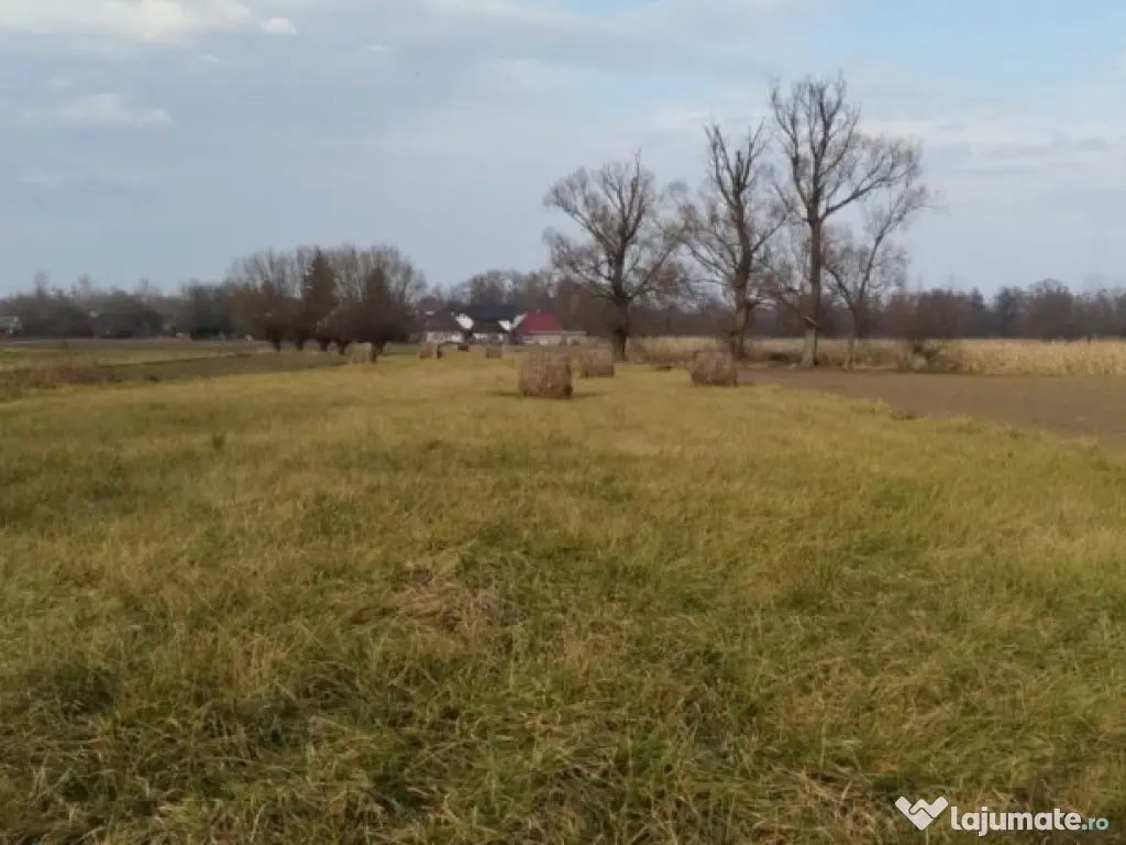 Casa batraneasca, teren 5400 mp, Fratautii Vechi
